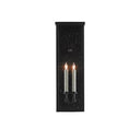 Currey & Company 5500-C4 Tanzy Outdoor Wall Sconce in Midnight 7