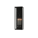 Currey & Company 5500-C4 Tanzy Outdoor Wall Sconce in Midnight 1