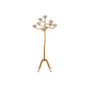 Currey & Company 8000-0045 Agave Americana 9 Light Floor Candelabra in Contemporary Gold Leaf 3