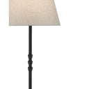 Currey & Company 8000-0049 Lohn 1 Light Floor Lamp in Mole Black 2