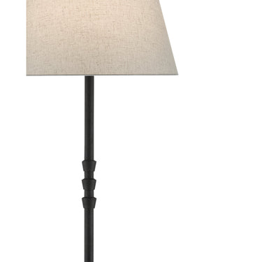 Currey & Company 8000-0049 Lohn 1 Light Floor Lamp in Mole Black 2