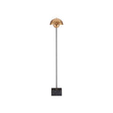 Currey & Company 8000-0095 La Rue 1 Light Floor Lamp in Brushed Brass/Black 1