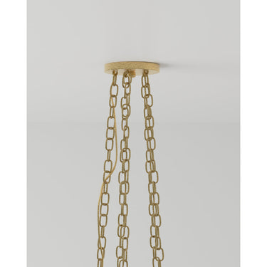 Currey & Company 9000-0040 Forest 10 Light Chandelier in Washed Lucerne Gold/Natural 6