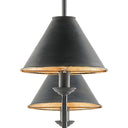 Currey & Company 9000-0114 Prosperity Rectangular Chandelier in French Black/Contemporary Gold Leaf Interior 2