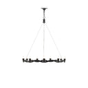 Currey & Company 9000-0461 Serpentina 9 Light Chandelier in Antique Black 4
