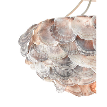 Currey & Company 9000-0755 Seahouse Chandelier in Smokewood/Natural Shell 2