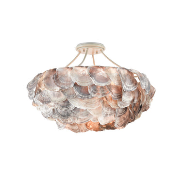 Currey & Company 9000-0755 Seahouse Chandelier in Smokewood/Natural Shell 3