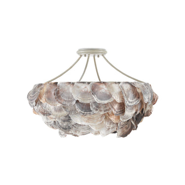 Currey & Company 9000-0755 Seahouse Chandelier in Smokewood/Natural Shell 4