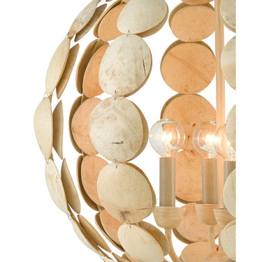 Currey & Company 9000-0806 Tartufo Coco Shell Chandelier in Coco Cream 2