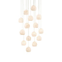 Currey & Company 9000-0898 Lazio Round 15-Light Multi-Drop Pendant in Natural/Painted Silver 1