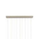 Currey & Company 9000-0899 Lazio Rectangular 15-Light Multi-Drop Pendant in Natural/Painted Silver 4