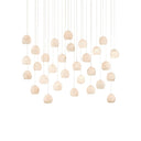 Currey & Company 9000-0900 Lazio 30-Light Multi-Drop Pendant in Natural/Painted Silver 1