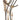 Currey & Company 91-C Hannah 12 Light Chandelier in Stockholm White/Rust - Crescent Harbor