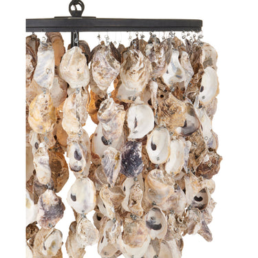 Currey & Company 9492 Stillwater Oval 5 Light Chandelier in Natural/Blacksmith 2