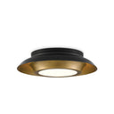 Currey & Company 9999-0045 Metaphor Flush Mount in Painted Antique Brass/Painted Black 1