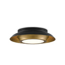 Currey & Company 9999-0045 Metaphor Flush Mount in Painted Antique Brass/Painted Black - Crescent Harbor