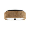 Currey & Company Brownell 14" LED Flush Mount 4