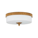 Currey & Company Bryce 16.25" 1-Light LED Flush Mount 12