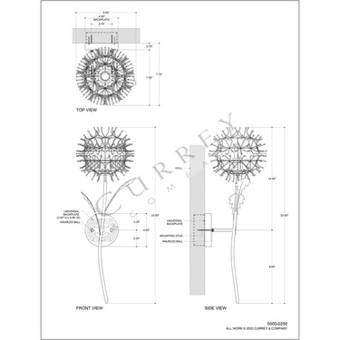 Currey & Company Dandelion Silver & Gold 1-Light Wall Sconce 4