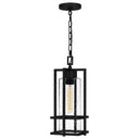 Damien 1 Light Mini Pendant in Earth Black 4