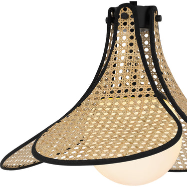 Delilah 1 Light Semi-Flush Mount in Matte Black 2