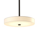 Disq LED Pendant 6