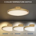 Donne Semi-Flush Mount 21