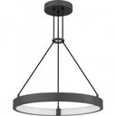 Drury Pendant-PCDRU2824PCI 5