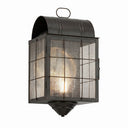 Durham Sconce shown in the Dark Brass finish with a Seedy shade - 9111-H-DB-SDY-C