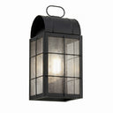 Durham Sconce shown in the Matte Black finish with a Seedy shade - 9121-H-BK-SDY