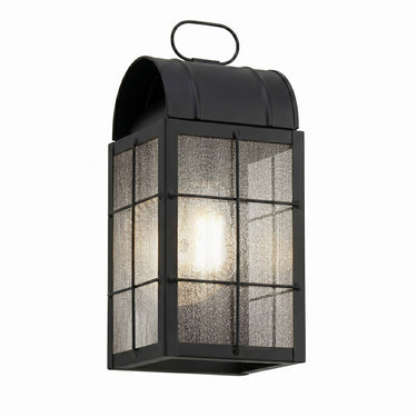 Durham Sconce shown in the Matte Black finish with a Seedy shade - 9121-H-BK-SDY