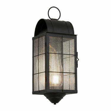 Durham Sconce shown in the Matte Black finish with a Seedy shade - 9161-H-BK-SDY-C