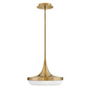 Fredrick Ramond Elsa Medium LED Convertible Pendant Alternative Image 11