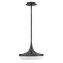 Fredrick Ramond Elsa Medium LED Convertible Pendant Alternative Image 3