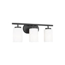 Generation Lighting 41162 Three Light Wall / Bath - Crescent Harbor
