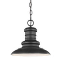 Generation Lighting OL8904 Pendant - Crescent Harbor