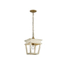 Golden Lighting 0839-M1L BC Haiden Mini Pendant in Burnished Chestnut - Crescent Harbor