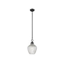 Golden Lighting 1088-M BLK-CLR Adeline Medium Pendant in Matte Black with Clear Glass Shade - Crescent Harbor