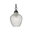 Golden Lighting 1088-M BLK-CLR Adeline Medium Pendant in Matte Black with Clear Glass Shade - Crescent Harbor