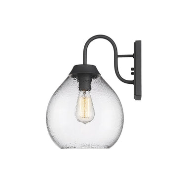 Golden Lighting 1094-OWM NB-HCG 1 Light Outdoor Wall Light - Crescent Harbor