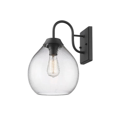 Golden Lighting 1094-OWM NB-HCG 1 Light Outdoor Wall Light - Crescent Harbor