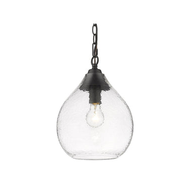 Golden Lighting 1094-S-HCG Ariella Small Pendant in Hammered Clear Glass - Crescent Harbor