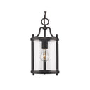 Golden Lighting 1157-M1L BCB-CLR Payton Mini Pendant in Clear Glass - Crescent Harbor