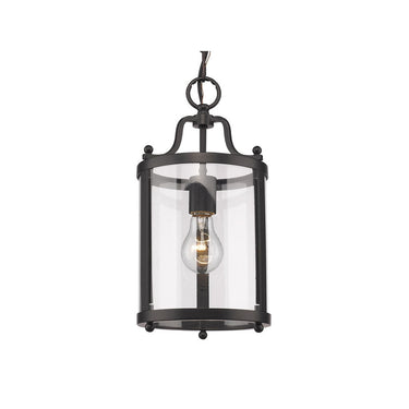 Golden Lighting 1157-M1L BCB-CLR Payton Mini Pendant in Clear Glass - Crescent Harbor