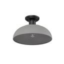 Golden Lighting 2866-OSF 1-Light Outdoor Semi-flush - Crescent Harbor