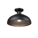Golden Lighting 2866-OSF 1-Light Outdoor Semi-flush - Crescent Harbor
