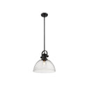Golden Lighting 3118-L Hines 1 Light Pendant - Crescent Harbor