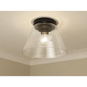 Golden Lighting 3189-FM11 BLK-CLR Flush Mount - Crescent Harbor