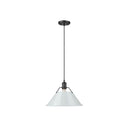 Golden Lighting 3306-L Orwell 14" - 1 Light Pendant - Crescent Harbor