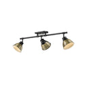 Golden Lighting 3602-3SF Duncan 3 Light Semi-Flush - Track Light - Crescent Harbor